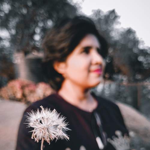 Photo #5804598