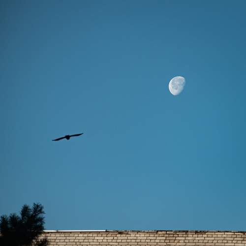 Photo #5804614
