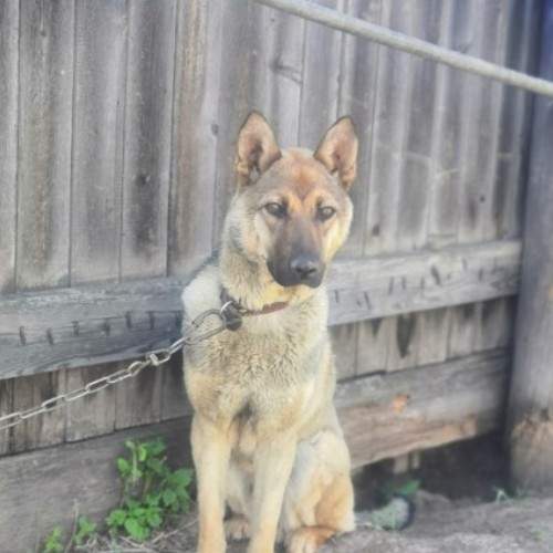 Photo #5804640