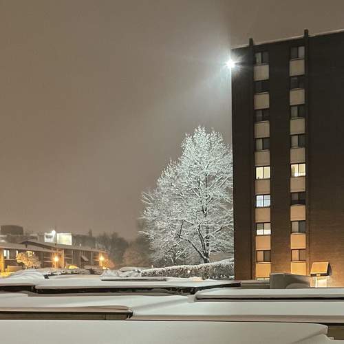 Photo #5804767