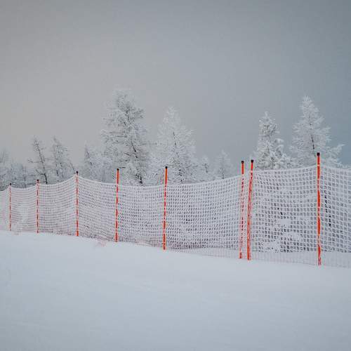 Photo #5804901