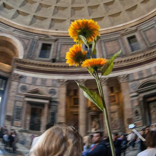 Photo #5805240