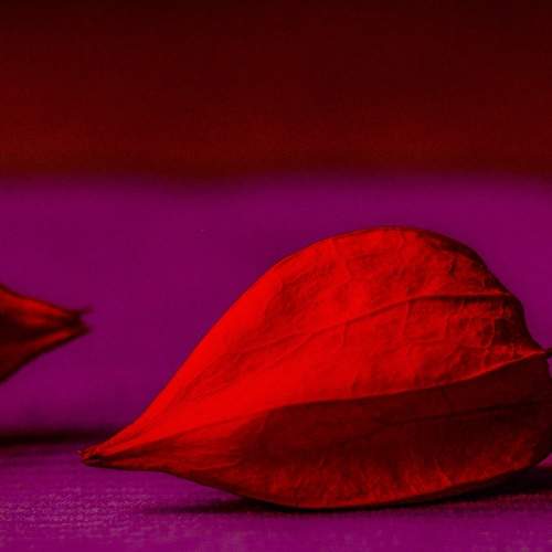 Photo #5805390