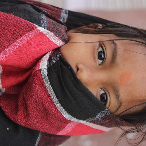 Photo #5805637