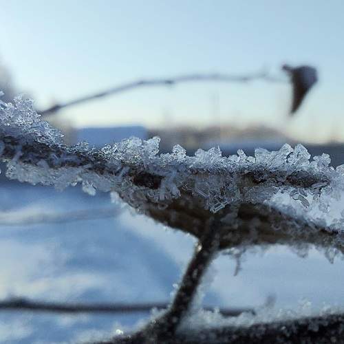Photo #5805716