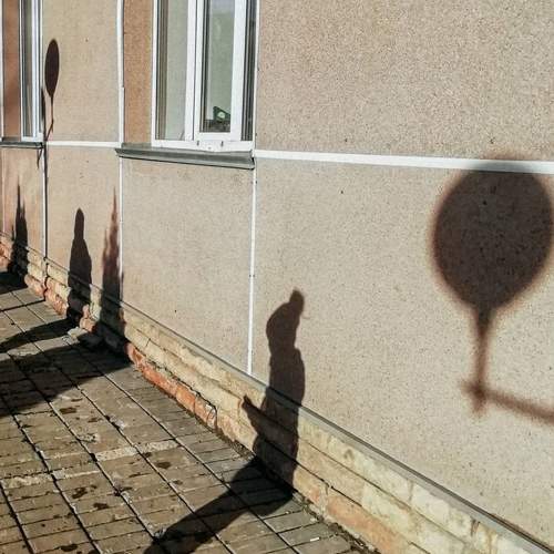 Photo #5805796