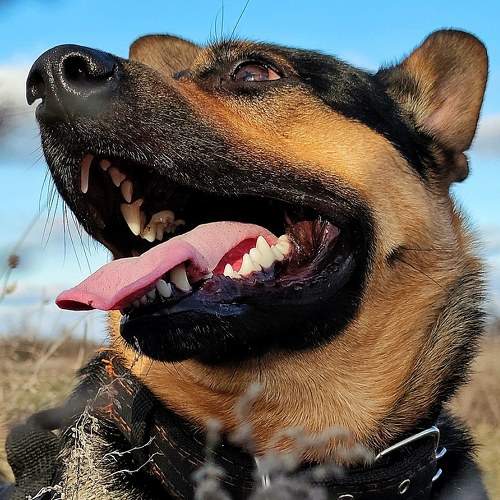 Photo #5806082