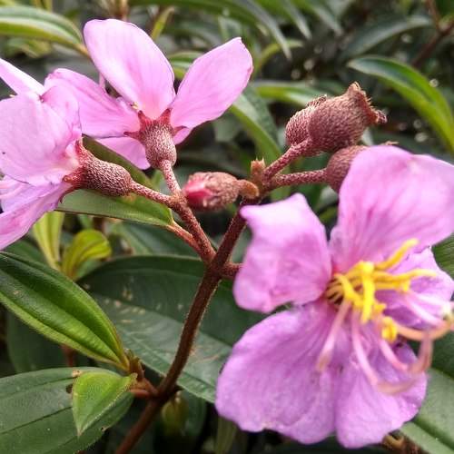 Photo #5806118