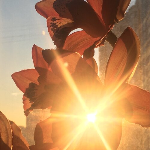 Photo #5806202
