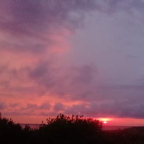 Photo #5806253