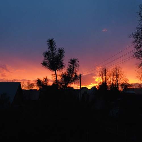 Photo #5806498