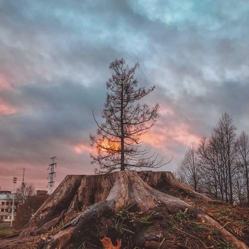 Photo #5806609
