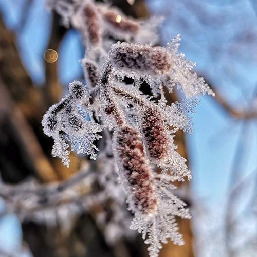 Photo #5806636