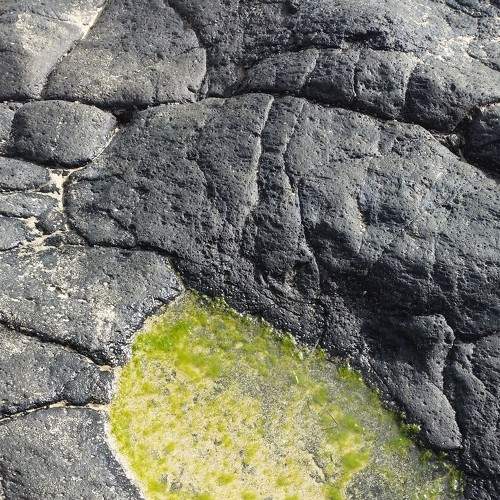 Photo #5806833