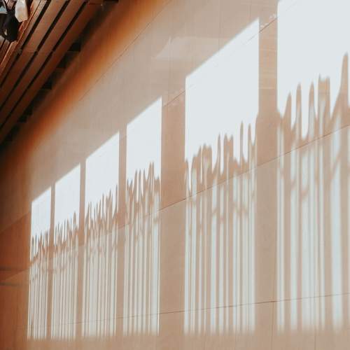 Photo #5807203