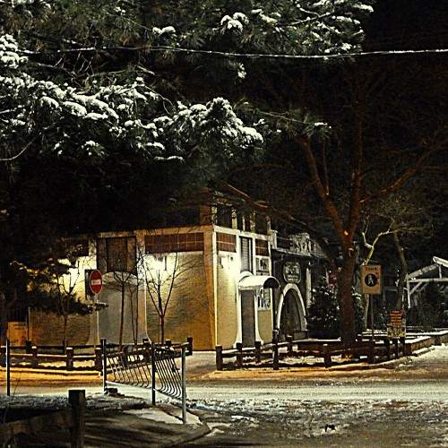 Photo #5807492