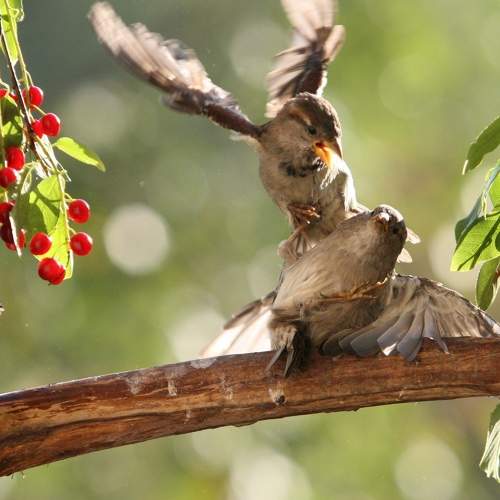 Photo #5807511