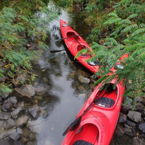 Photo #5807710