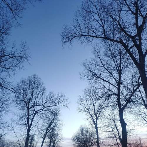 Photo #5807731