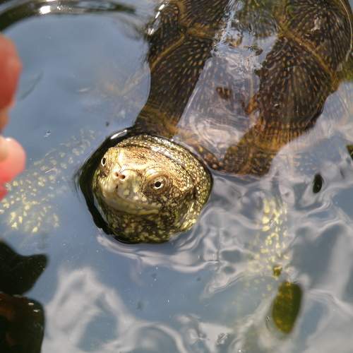 Photo #5807767