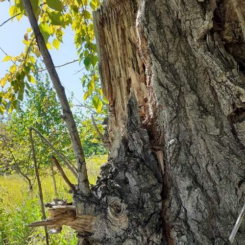 Photo #5808493