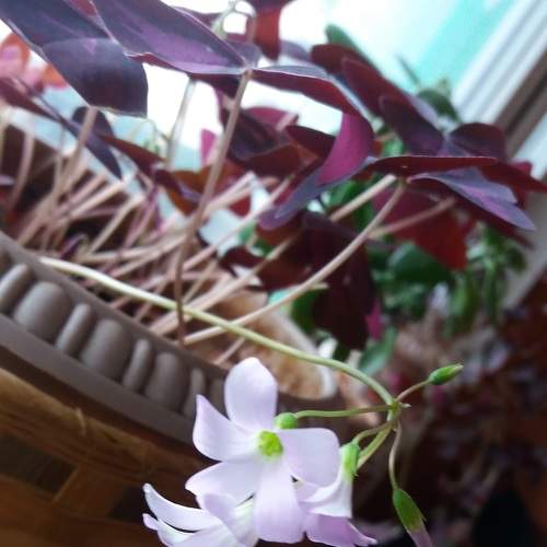 Photo #5808541