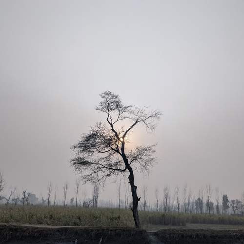 Photo #5808826