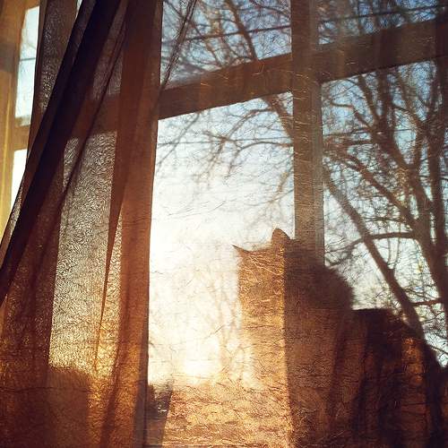 Photo #5808864