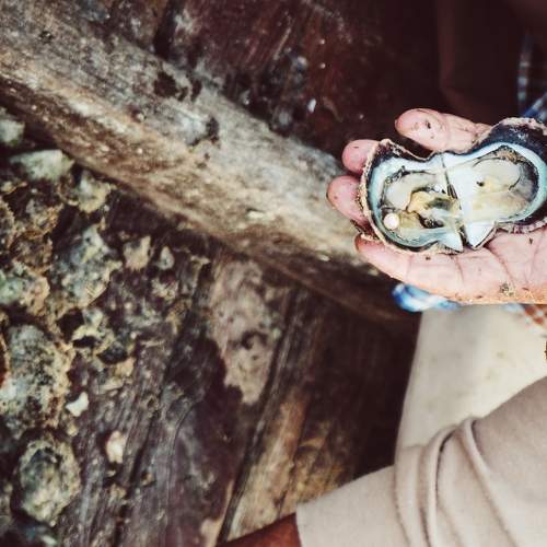 Photo #5809121