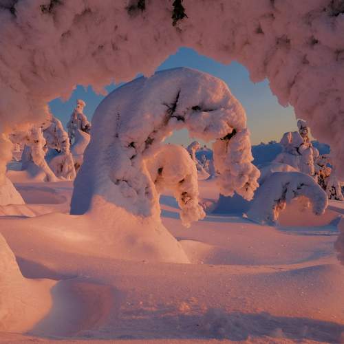 Photo #5809779