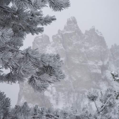 Photo #5809897