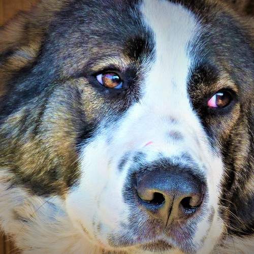 Photo #5809938