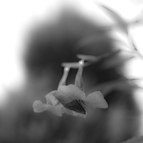 Photo #5810149