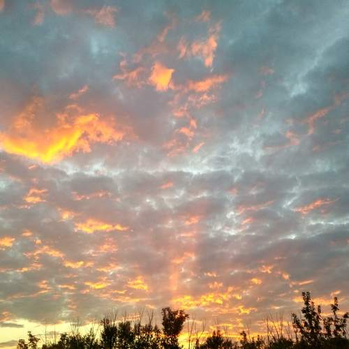 Photo #5810177