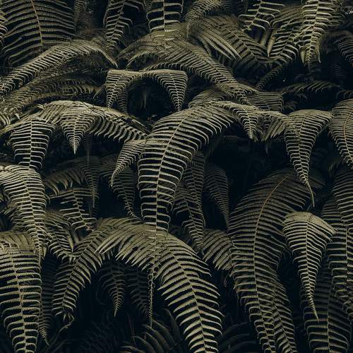 Photo #5810180