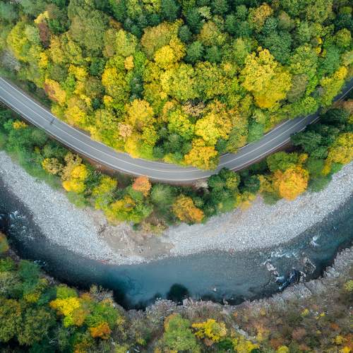 Photo #5810614
