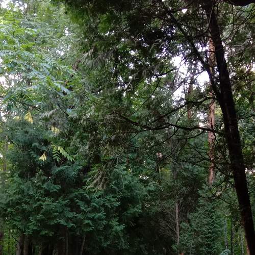 Photo #5810646
