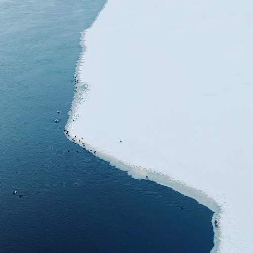 Photo #5810752