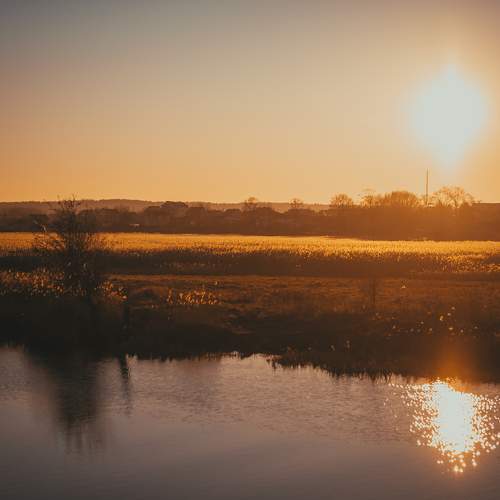 Photo #5810772