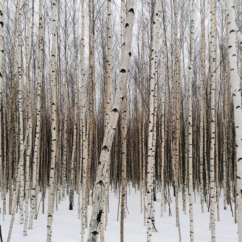Photo #5810881