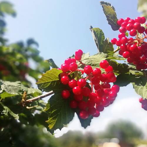 Photo #5810968