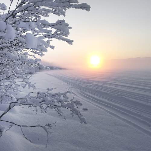 Photo #5811263