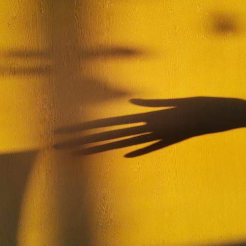 Photo #5811639