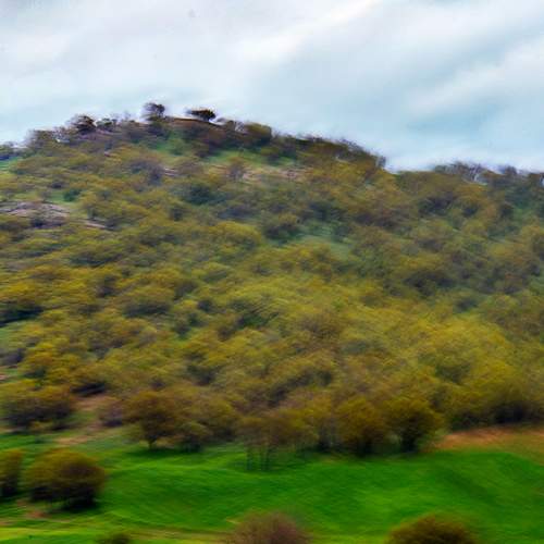 Photo #5811730