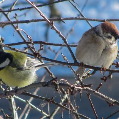 Photo #5811879
