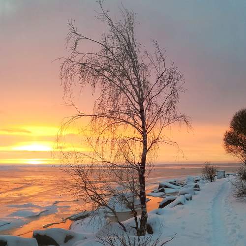 Photo #5812064