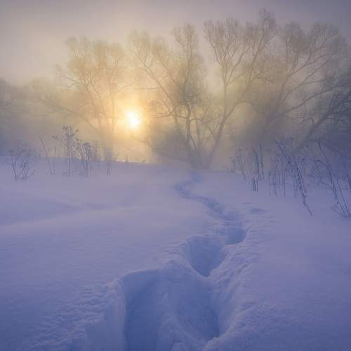 Photo #5812186