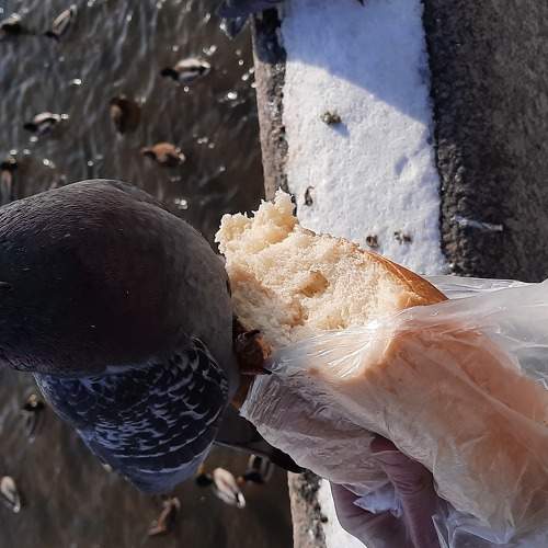 Photo #5812399