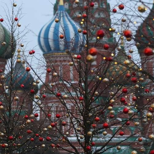 Photo #5812514
