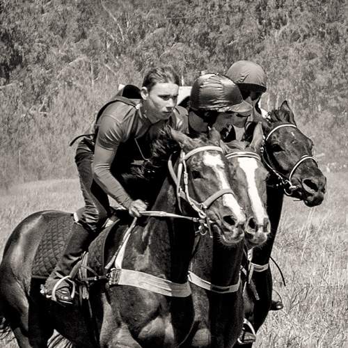 Photo #5812765